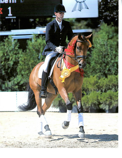 Alex Robertson Dressage